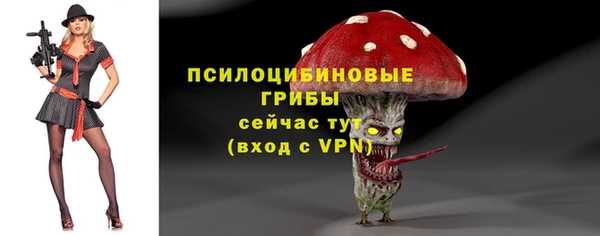 мет Балахна